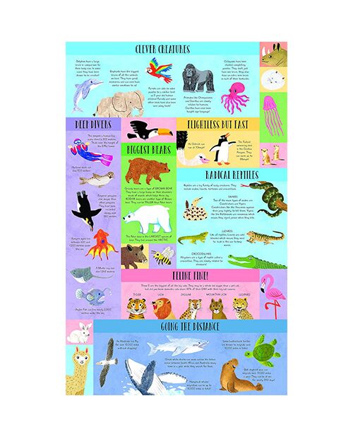 Large Question &amp; Answer Flap Book -Dinosaurs by Kathryn Selbert