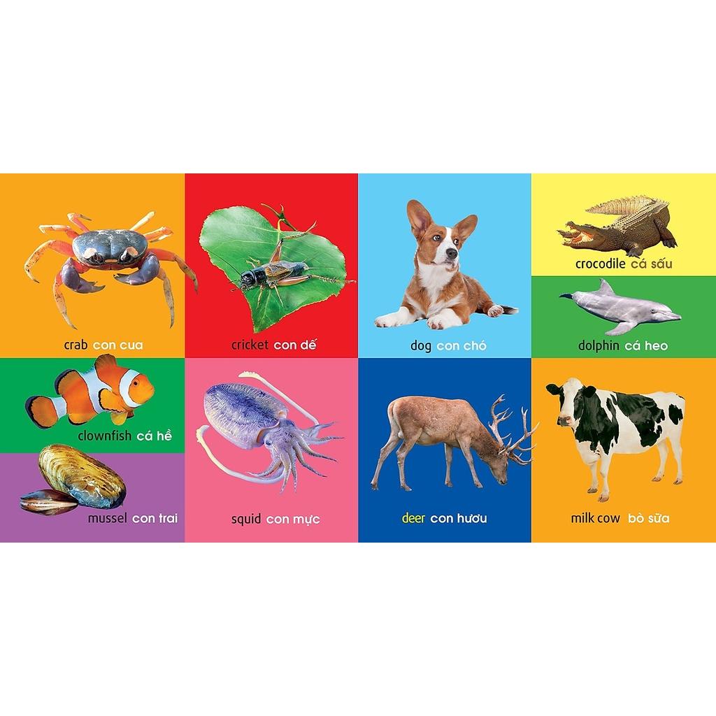 Sách 101 Từ đầu tiên Động Vật - Minh Long