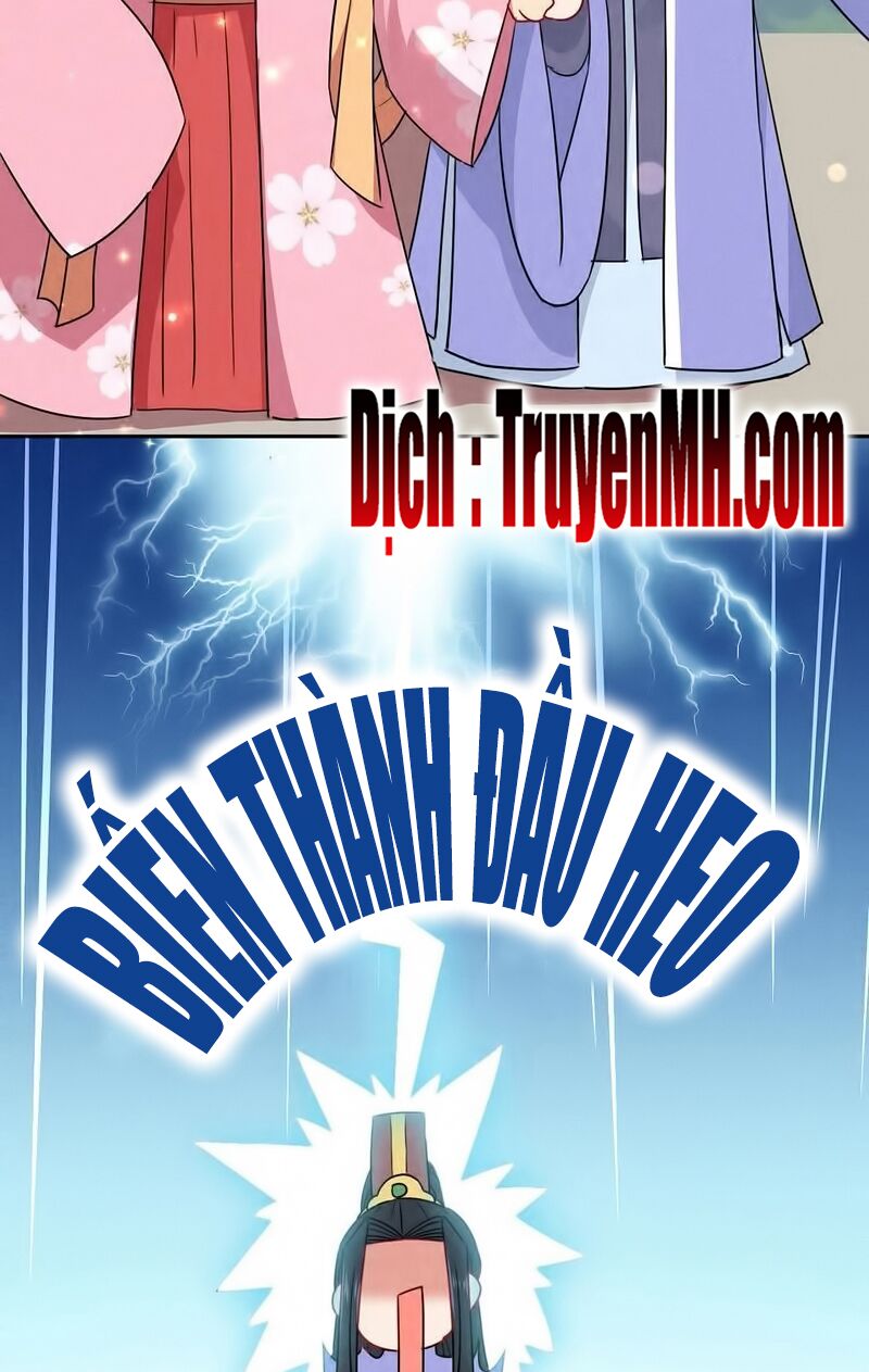 101 mỹ nam của vương phi béo phì chapter 25 9