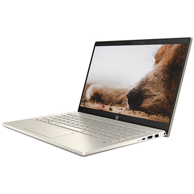 Laptop HP Pavilion 14-dv0008TU 2D7A5PA (Core i5-1135G7/ 8GB DDR4 3200Mhz/ 512GB PCIe NVMe M.2 SSD/ 14 FHD IPS/ Win10 + Office) - Hàng Chính Hãng