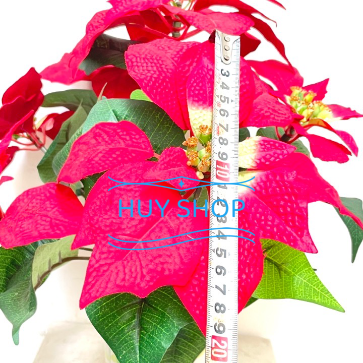 BỤI HOA TRẠNG NGUYÊN VẢI NHUNG CAO CẤP 6 NHÁNH