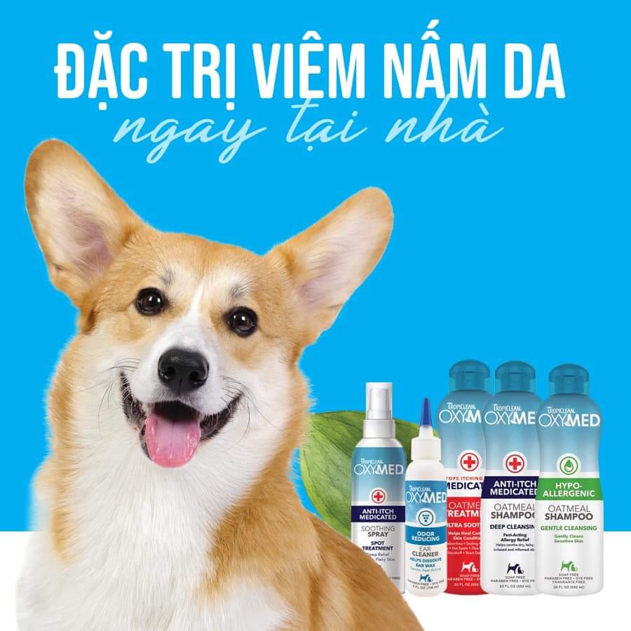 SỮA TẮM OXYMED TRỊ VIÊM DA, NẤM NGỨA, VẢY GÀU, ĐỐM ĐỎ TRÊN CHÓ (TROPICLEAN, MỸ)