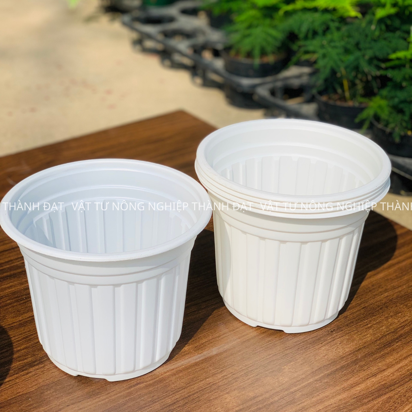 05 Chậu nhựa trắng TTK 18 trồng cây, trồng hoa cao cấp