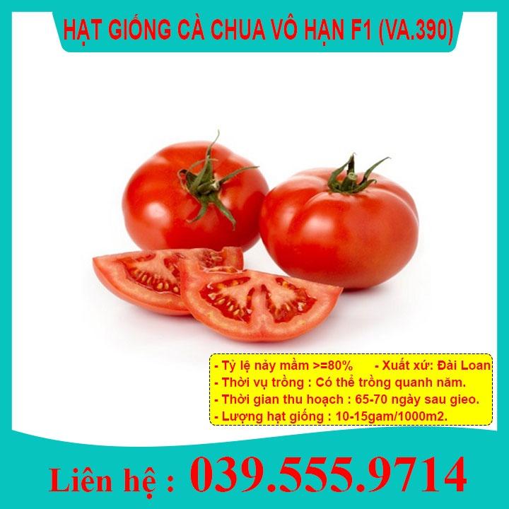 Hạt Giống Cà Chua Vô Hạn - Cà Chua Siêu Năng Suất Gói 100 Hạt