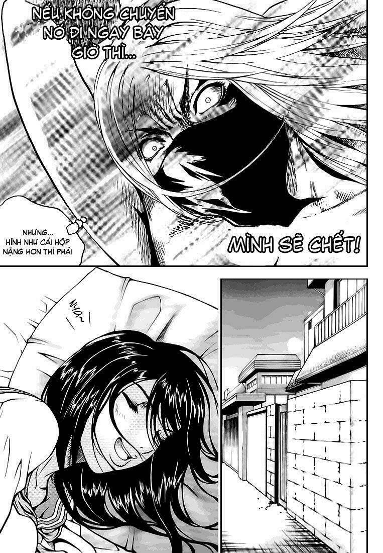 zippy ziggy chapter 20 16