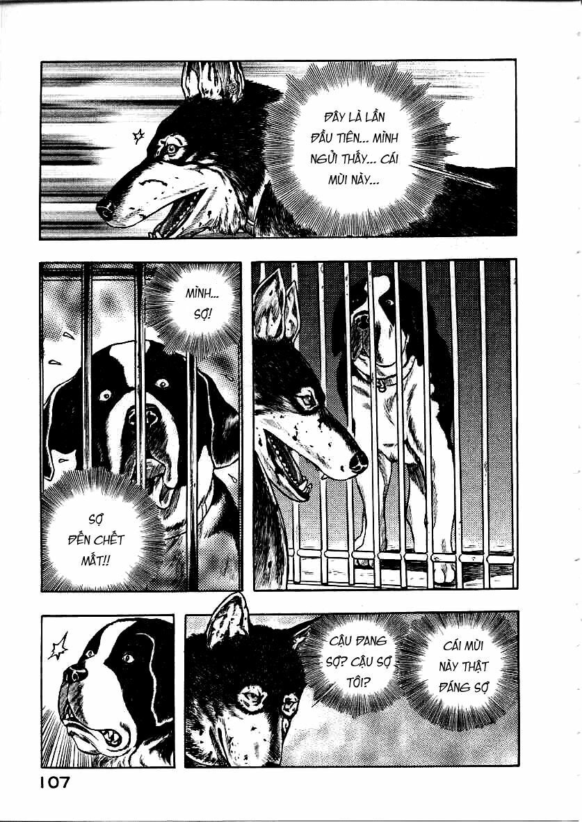 inugami chapter 12 25