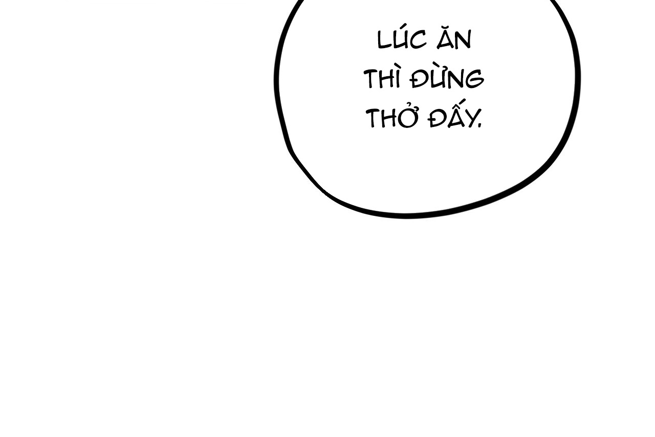 đàn thỏ của habibi chapter 18 212