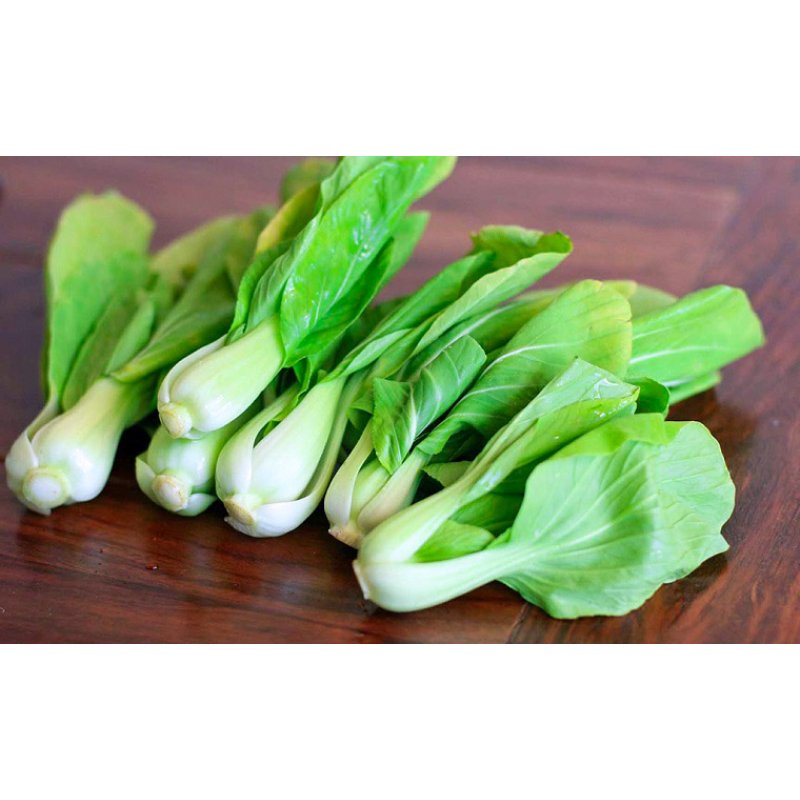 Hạt giống cải thìa Rạng Đông