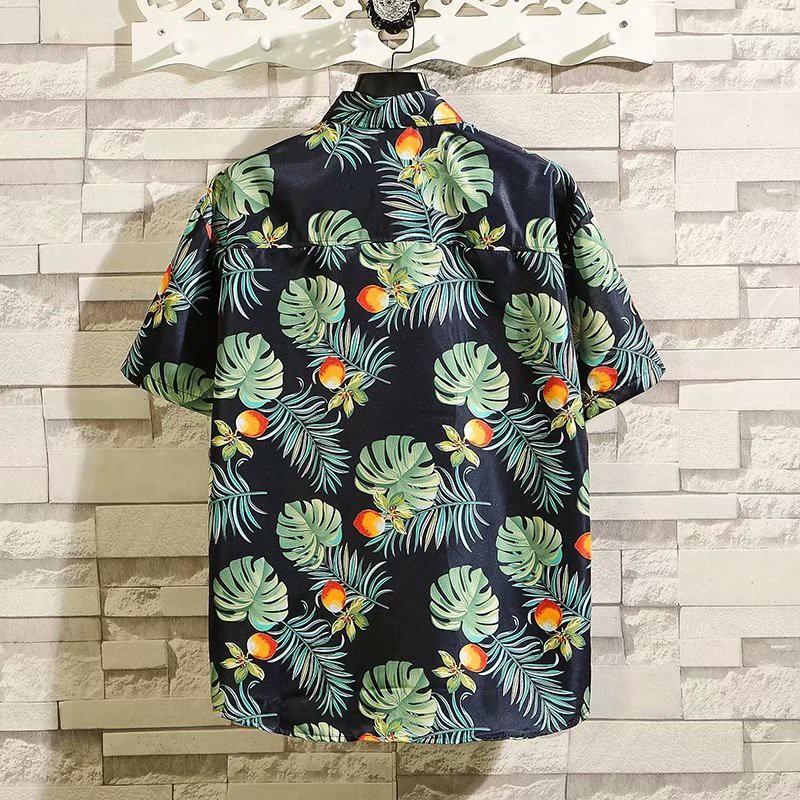 Set Đồ Mùa Hè Thời Trang Dành Cho Nam