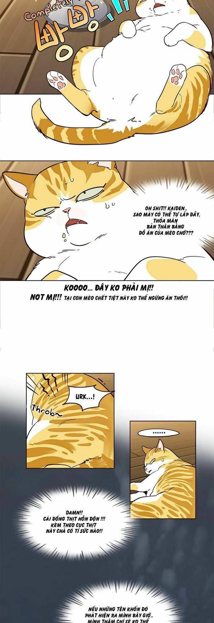 biến thân thành mèo chapter 2 14