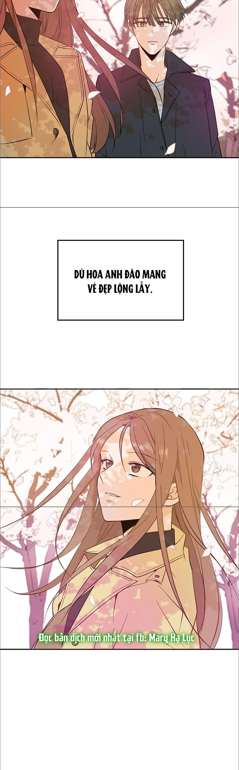 hẹn gặp anh ở kiếp thứ 19 chapter 14.1 24