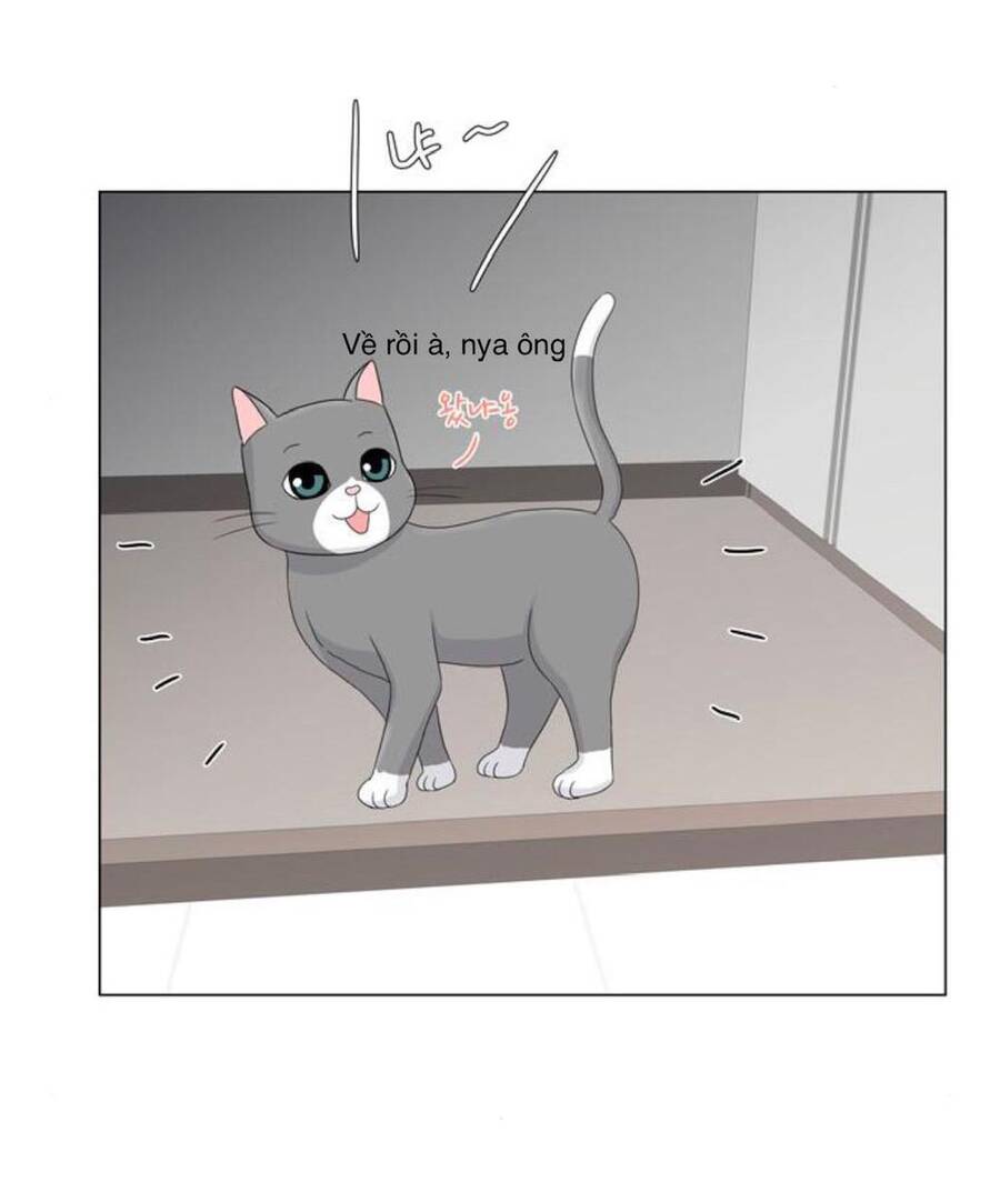 idol và sếp, em yêu ai? chapter 27 5