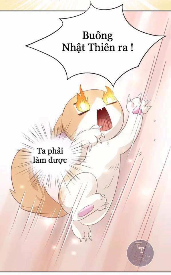 dưới móng vuốt mèo chapter 15 33