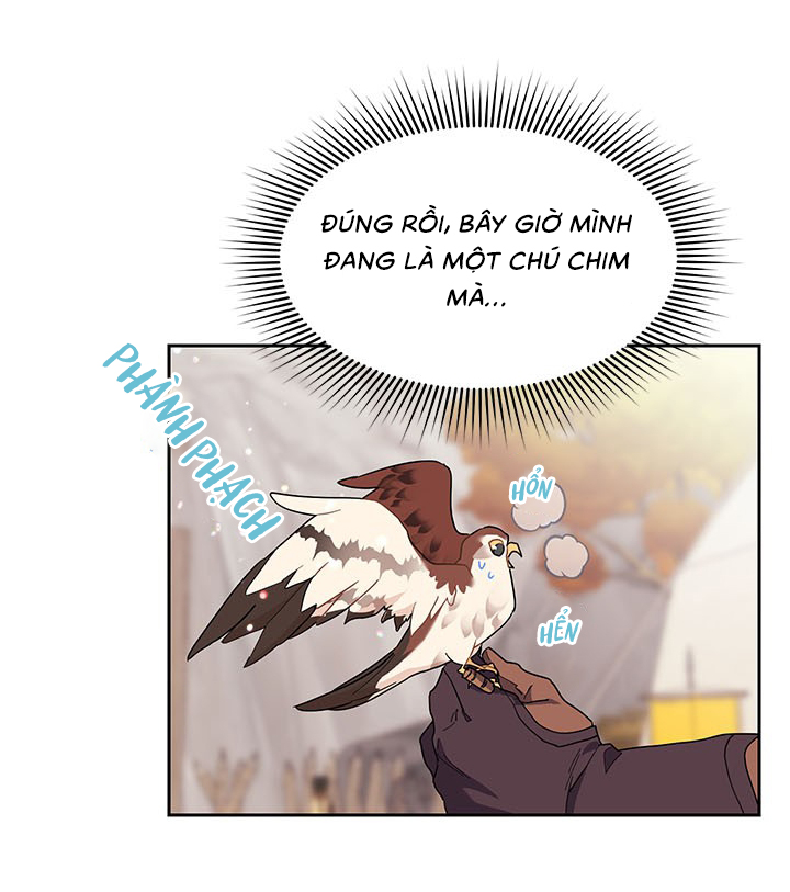 công chúa của loài chim chapter 11 9