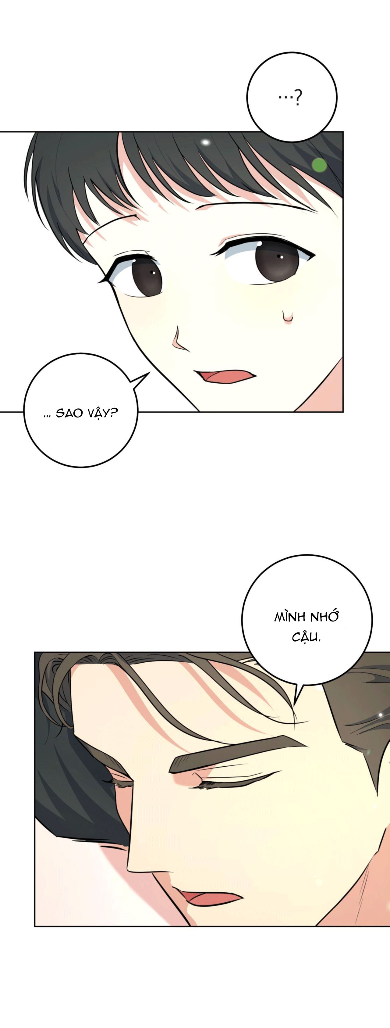 cánh rừng bình lặng chapter 1 33