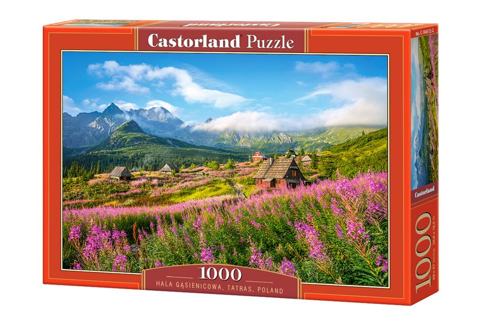 Xếp hình puzzle Hala Gasienicowa, Tatras, Poland 1000 mảnh CASTROLAND C-104512