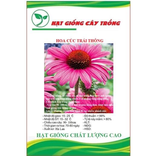 Hạt giống hoa cúc trái thông CT400 - Gói 50 hạt