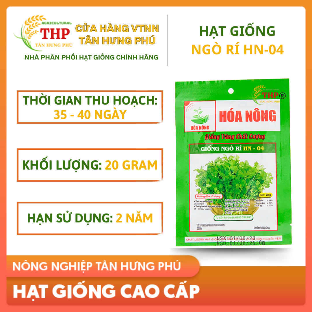 Hạt giống Ngò Rí HN-04 | Hạt Giống | gói 20gr