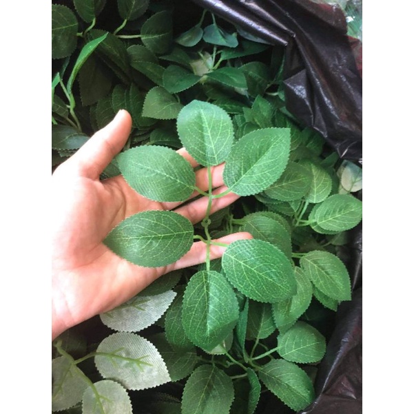 1kg lá hoa hồng các loại - Lá giả