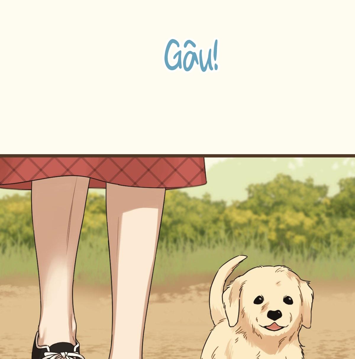 tương phùng chapter 38 66