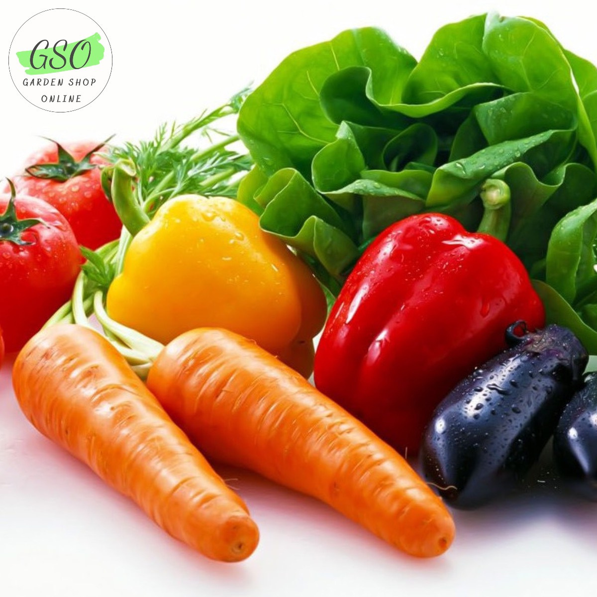 Đất trồng rau ăn củ quả, thân leo Tropical Premium
