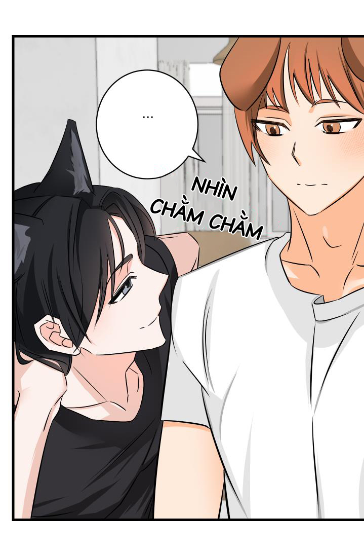 Yêu em bằng cả con tim chapter 6