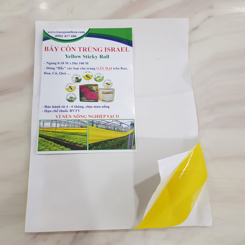 Bẫy Ruồi Nông Nghiệp gây hại Rau Hoa Củ Quả đạt hiệu quả 90% bằng Cuộn Keo Dính Vàng 2 mặt keo , thời gian hiệu lực trên 8 tháng chịu mưa nắng