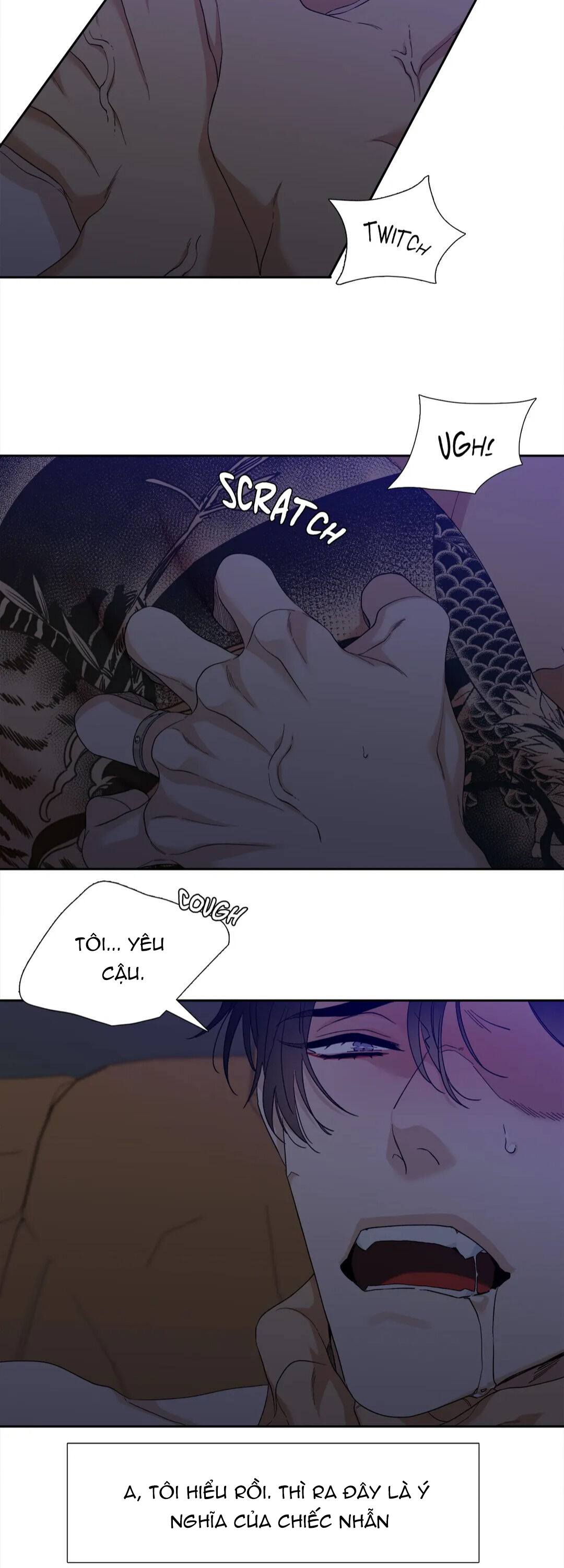 xúc cảm điên cuồng chapter 57.1 8