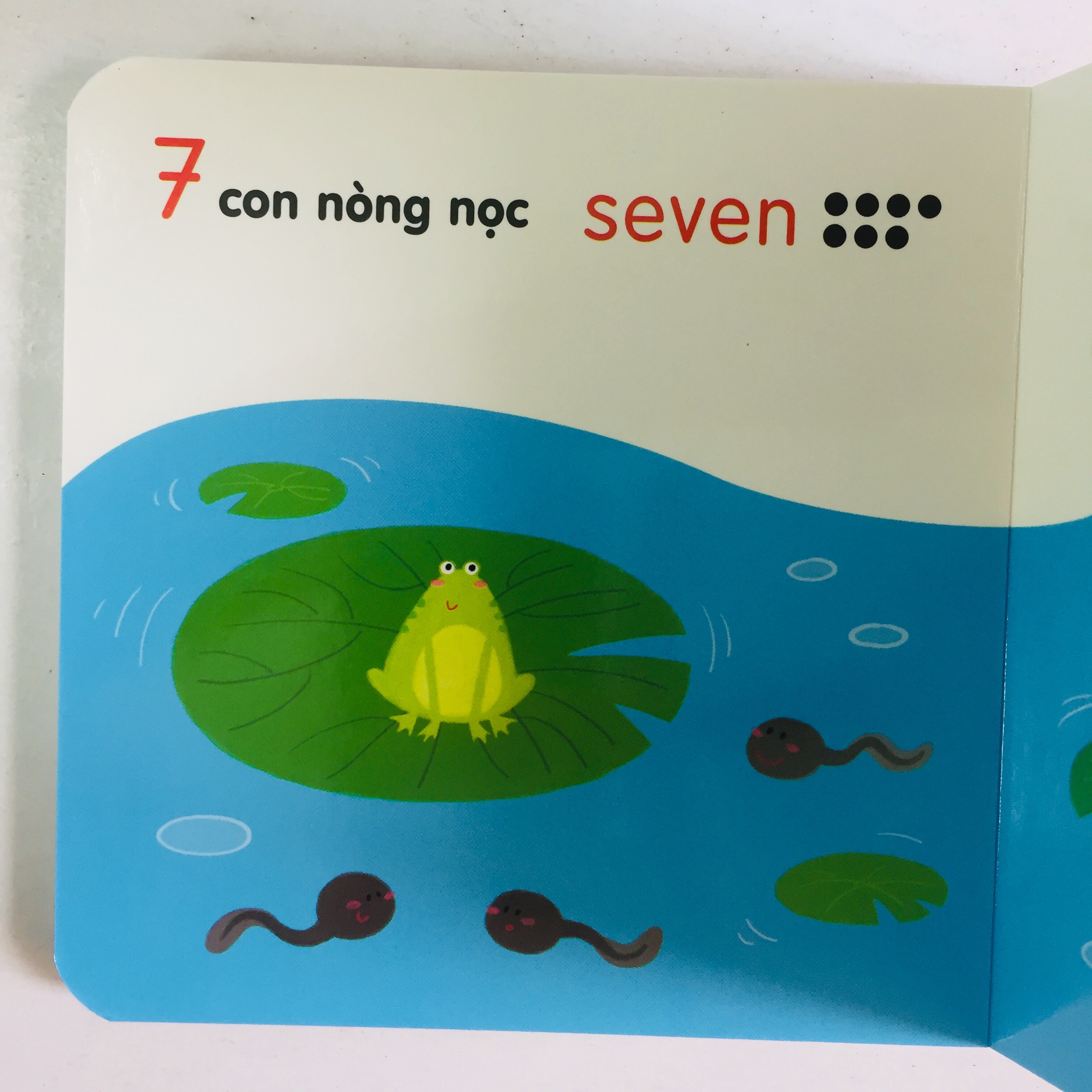 Combo 4 cuốn: Ô Cửa Diệu Kì + Màu Sắc + Số Đếm + Hình Dạng + So Sánh