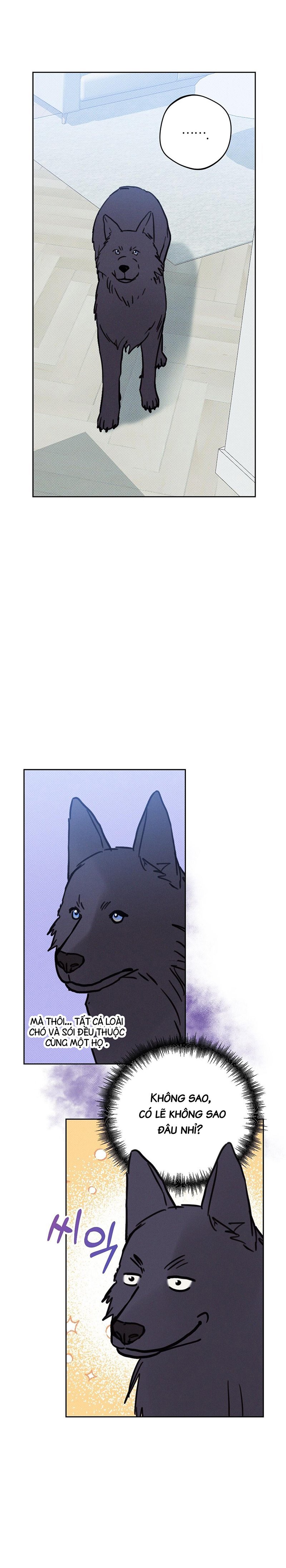 khi đêm trăng tròn chapter 4 17