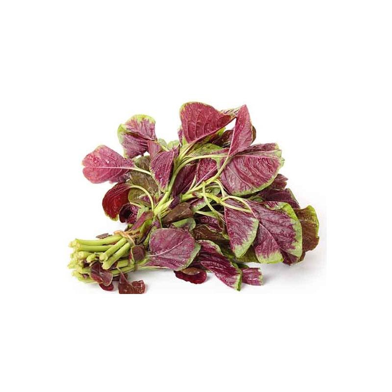 Hạt giống rau Dền Khoang - Dền Tía - gói 20gr