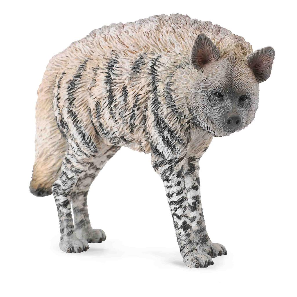 Mô hình thu nhỏ: Linh Cẩu - Striped Hyena, hiệu: CollectA, mã HS 9651110 - Chất liệu an toàn cho trẻ - Hàng chính hãng