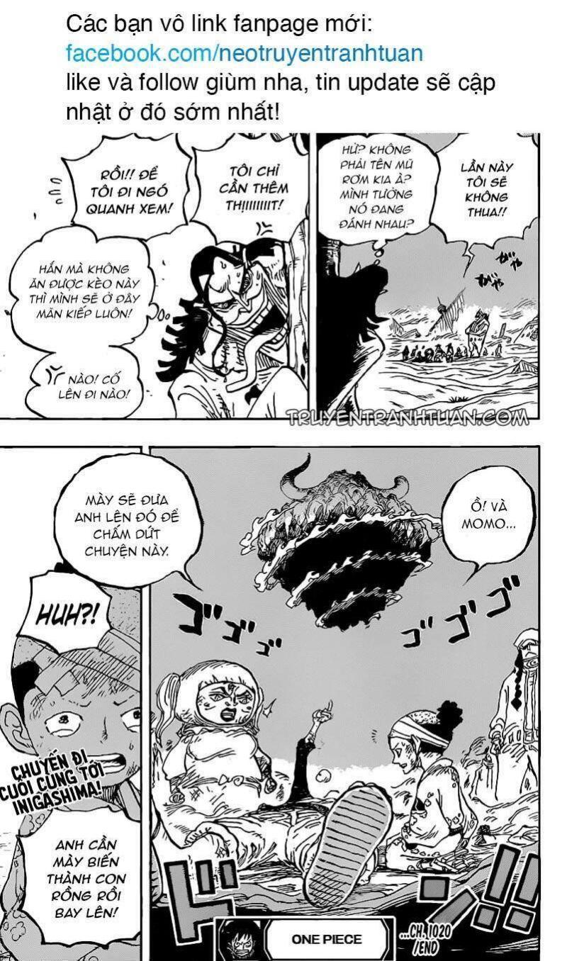 đảo hải tặc - one piece chapter 1020 17