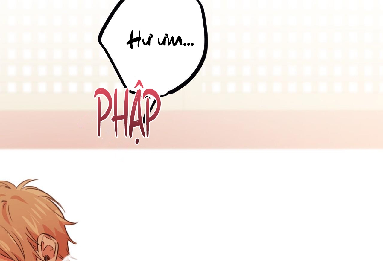 đàn thỏ của habibi chapter 64 5