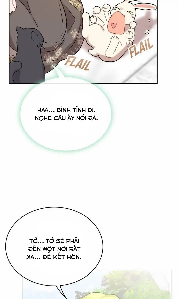 công chúa muôn loài chapter 2 42