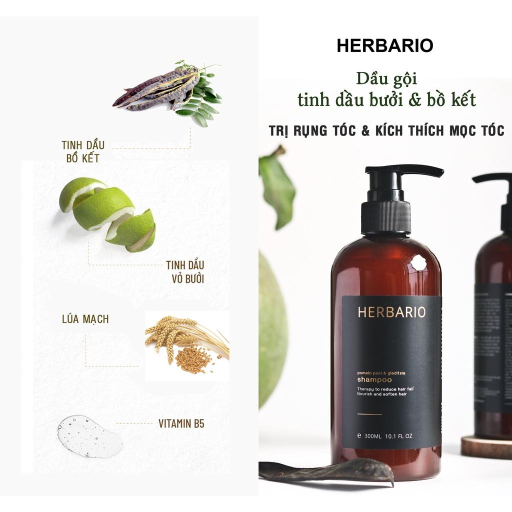 Bộ đôi Dầu Gội bồ kết & vỏ bưởi herbario 300ml + Dầu Xả Bồ Kết & vỏ bưởi Herbario 300ml