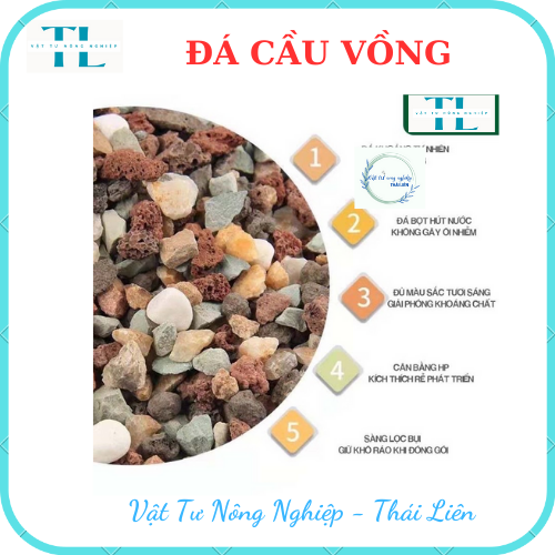 Đá Cầu Vồng- Trồng Sen Đá - Đá Mix Trộn Giá Thể, Rãi Mặt Chậu