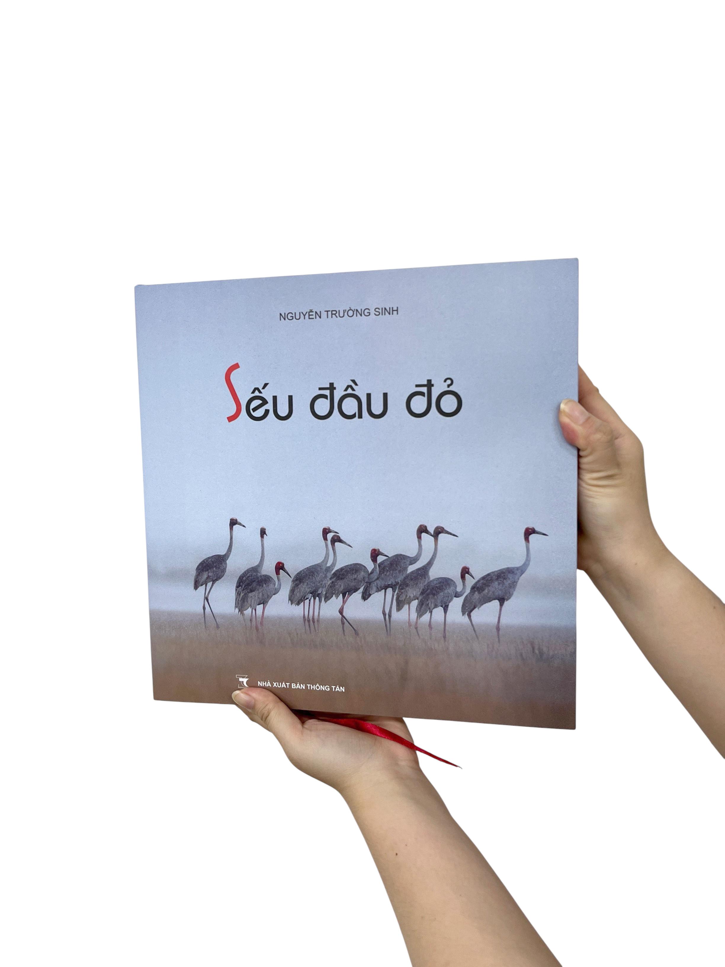 Sách - Sếu Đầu Đỏ - Bìa Cứng