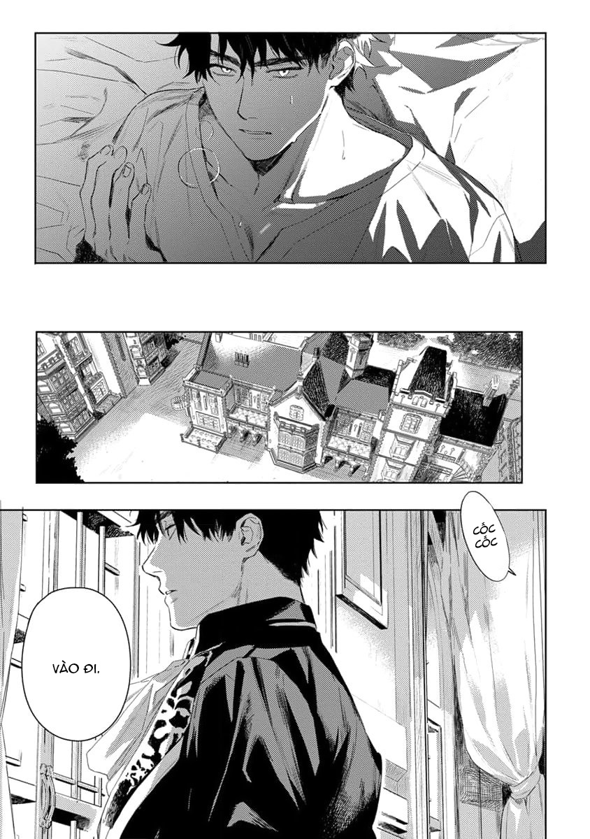 tình yêu hoa hồng dại chapter 1 9