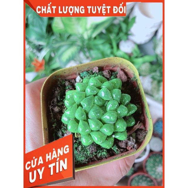 Kim Cương Xanh Lá