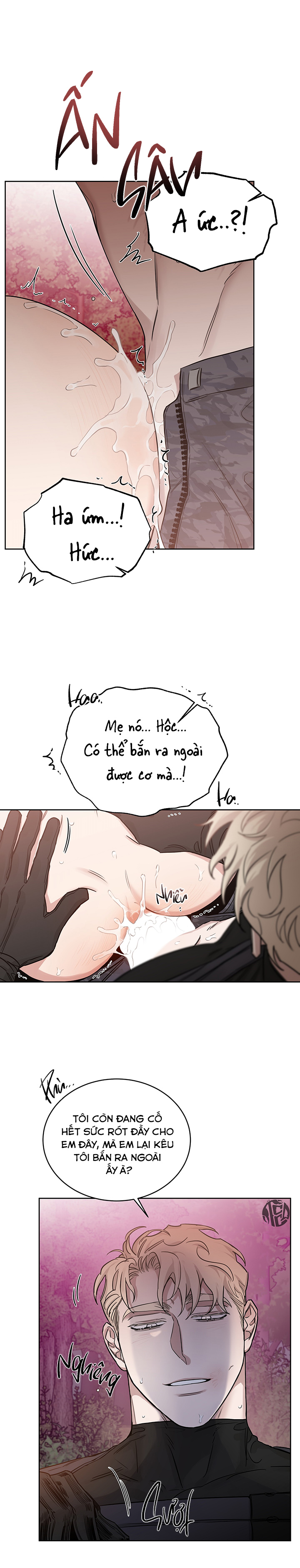 đoá hồng và ly champagne chapter 0.11 10