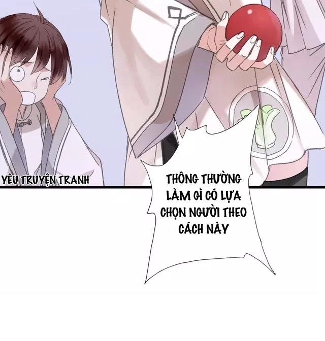 thực nhị chapter 19.2 10