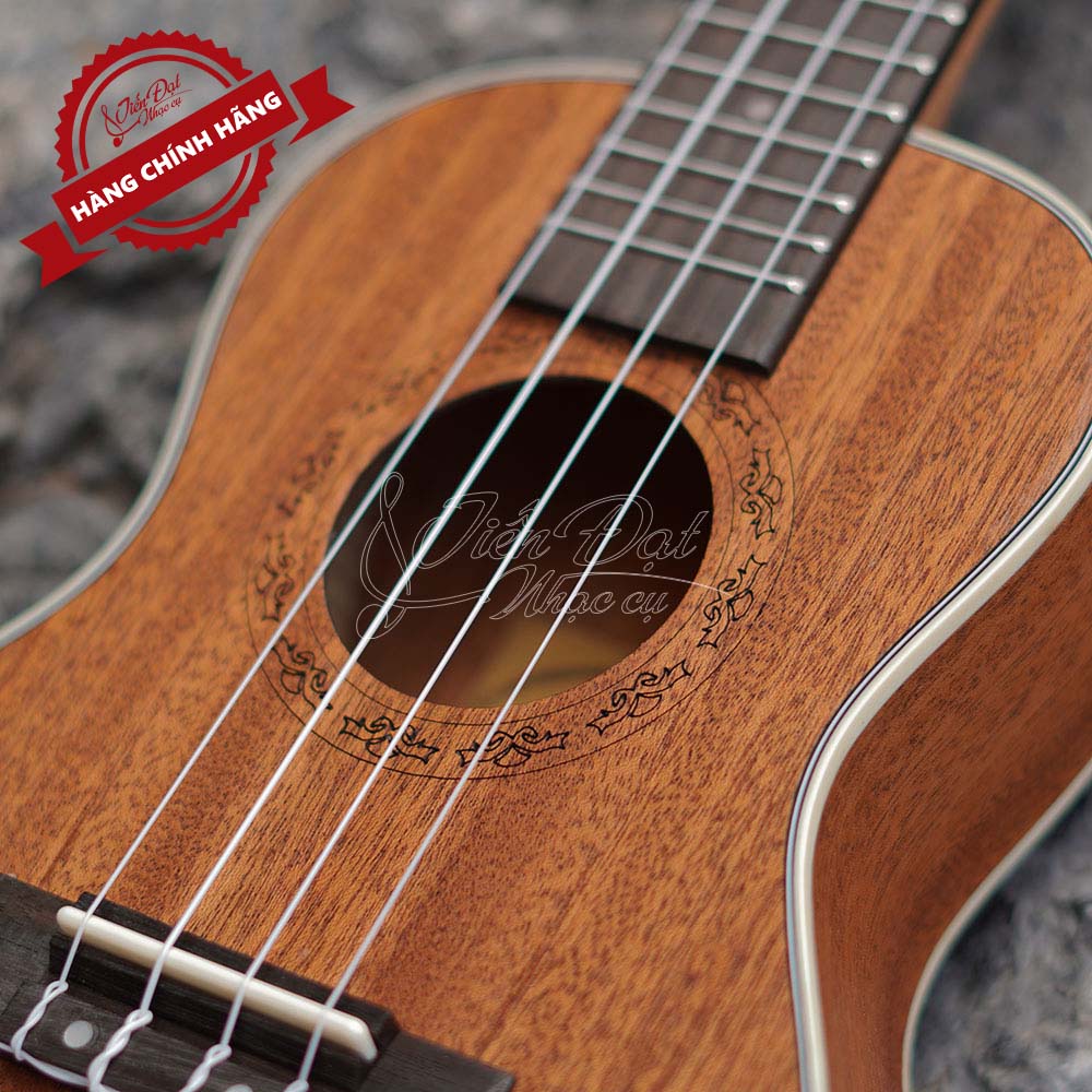 Đàn Ukulele Concert Chard WD-24THX, Màu nâu nổi bật, Mặt đàn Gỗ gụ - Hàng chính hãng