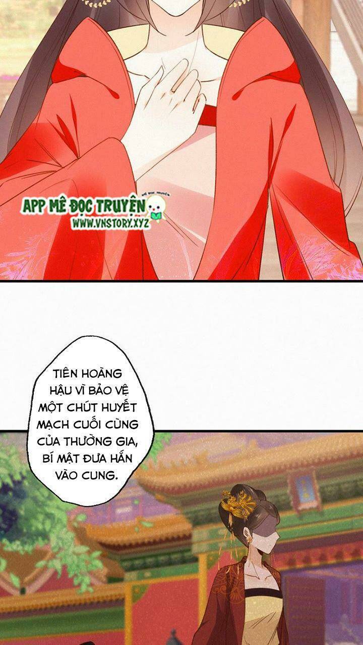 thiên hương mỹ nhân chapter 116 17