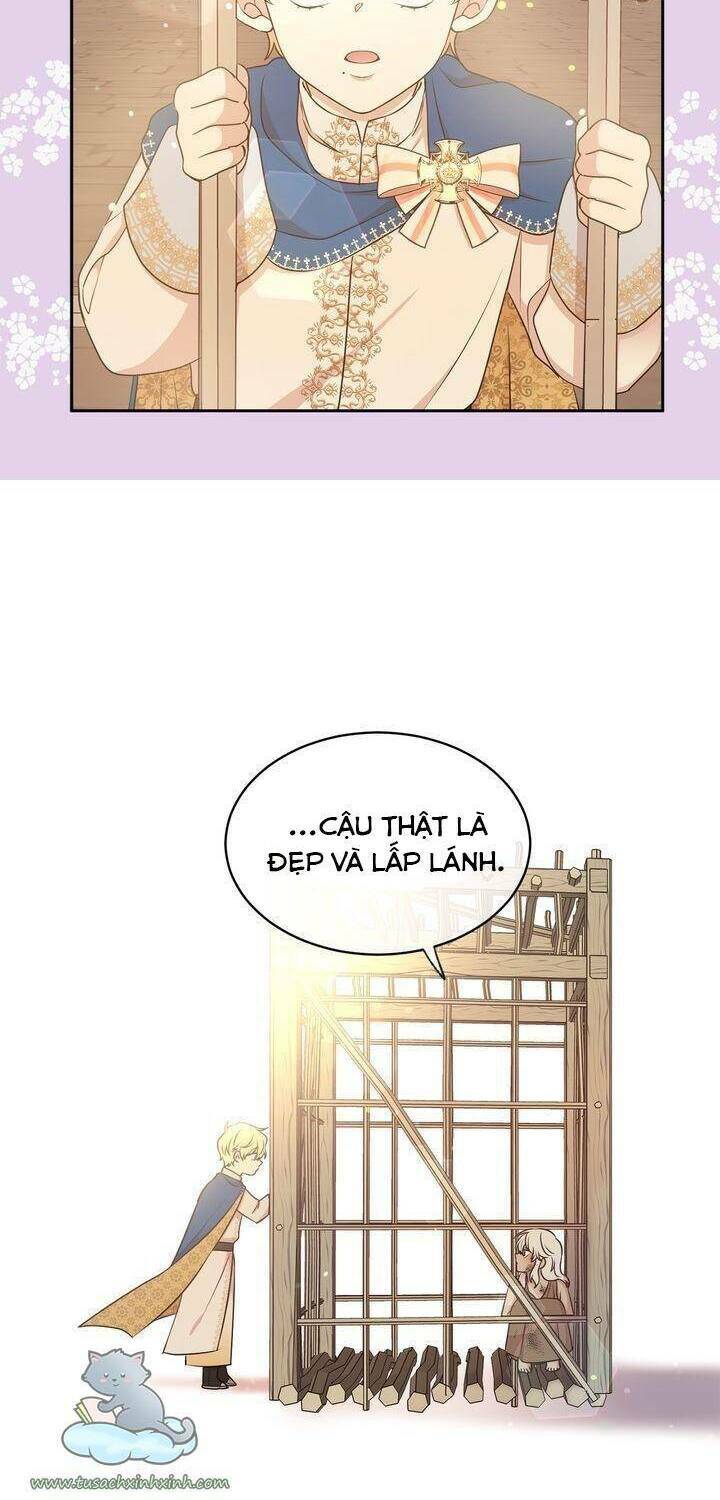 tôi chọn kết thúc của hoàng đế chapter 97 42