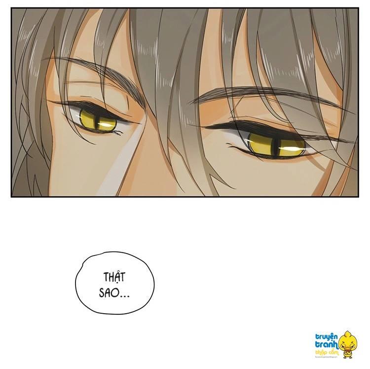 cứu mạng ! loài mèo thống trị thế giới rồi ! chapter 15 6