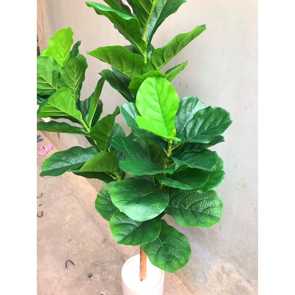 Cây bàng Đài Loan giả - Size 170cm - 3 nhánh - Cây giả, hoa lụa Decor trang trí nhà cửa