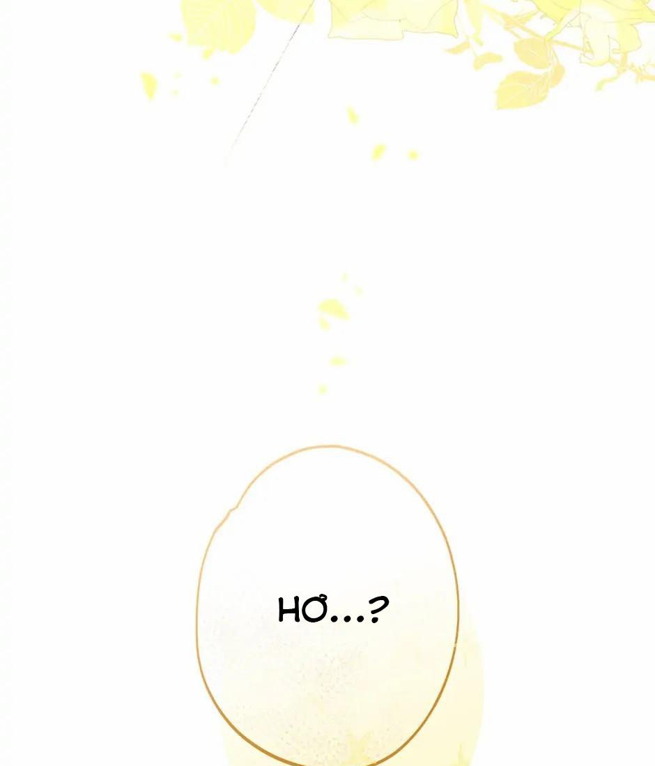 từ hầu gái tôi đã trở thành hoàng hậu chapter 31.2 43