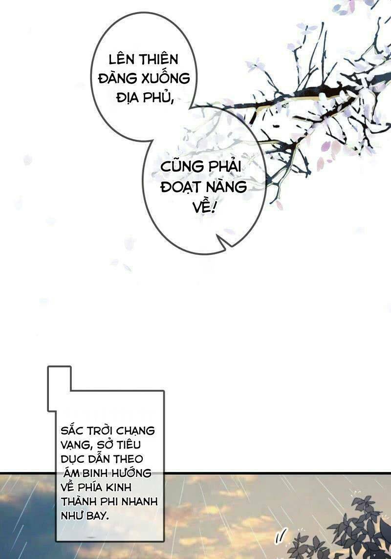 sủng phi của vương chapter 172 23