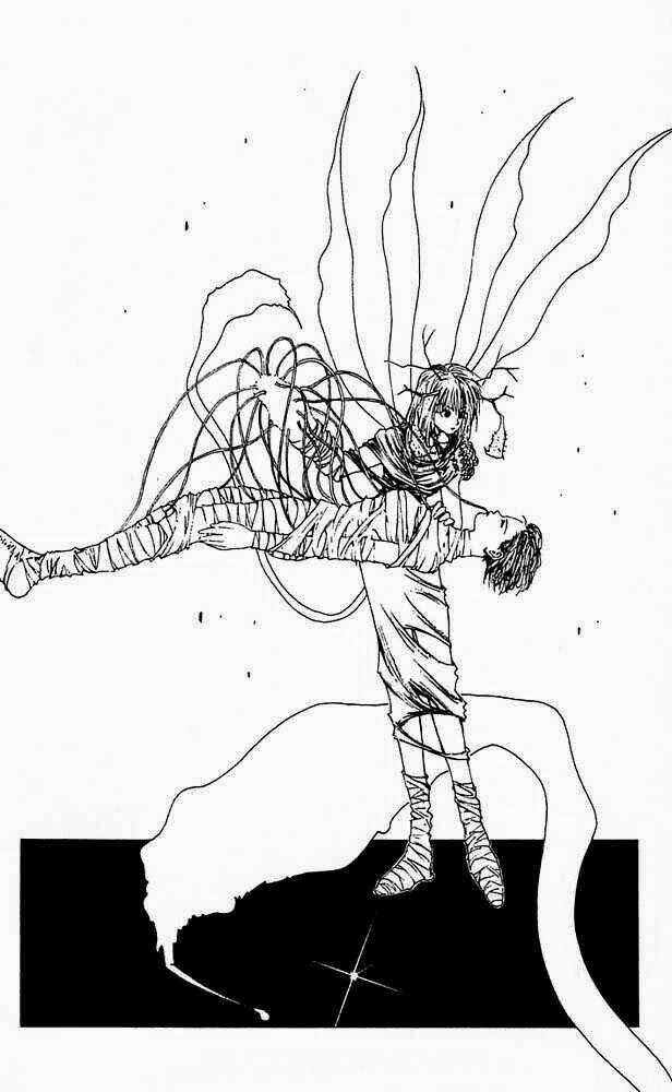 level e chapter 11 24